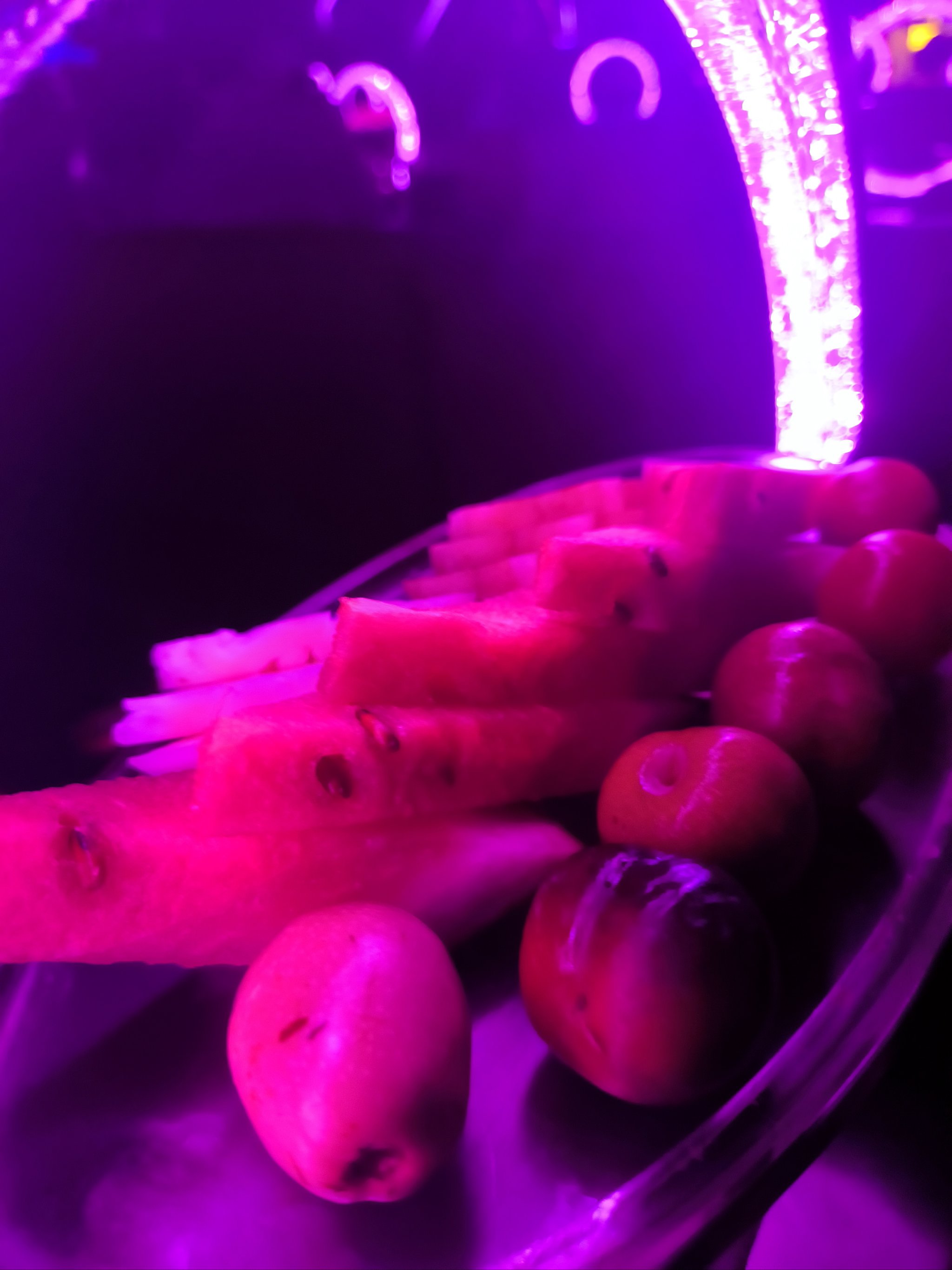 毕节商务ktv首选-织金县ktv预订